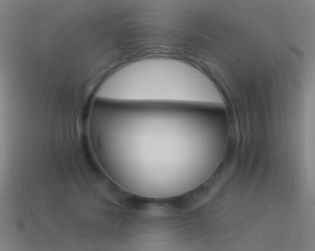X0000114520508200910190952