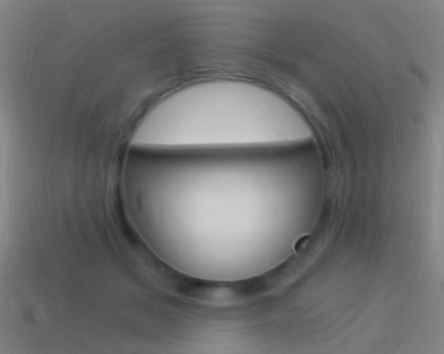 X0000114520509200910190952