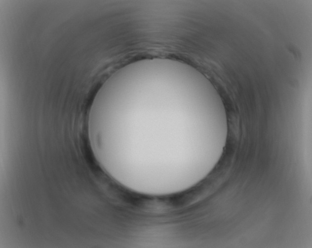 X0000114520511200910190952