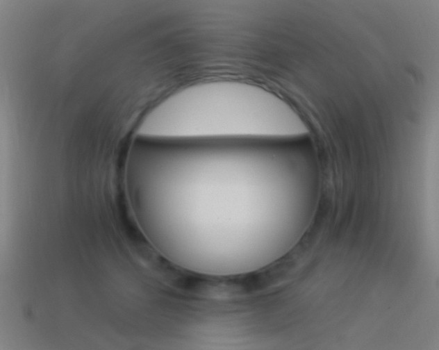 X0000114520512200910190952