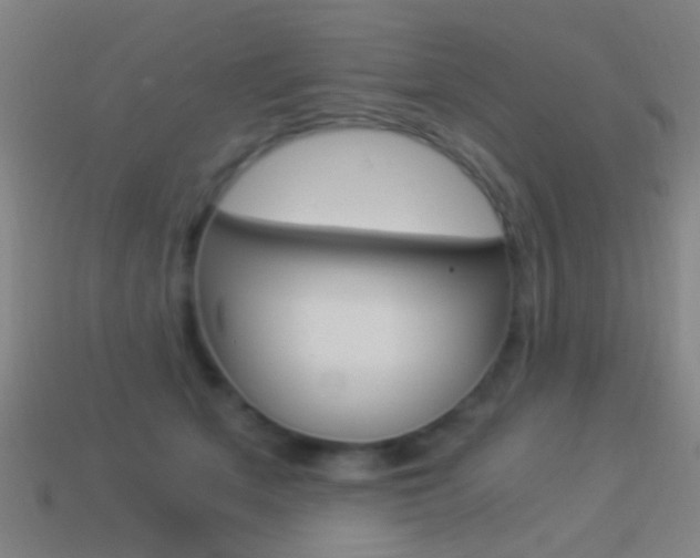 X0000114520513200910190952