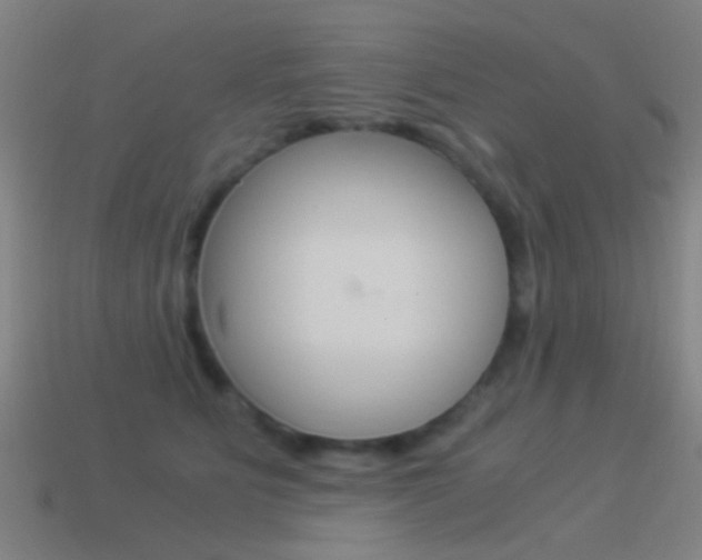 X0000114520515200910190952