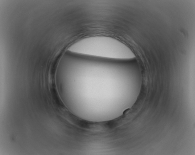 X0000114520516200910190952