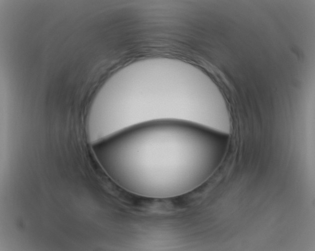 X0000114520517200910190952