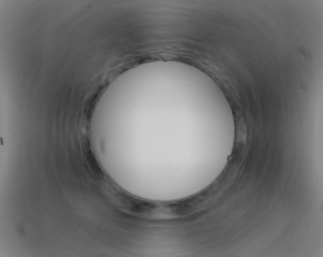 X0000114520518200910190952