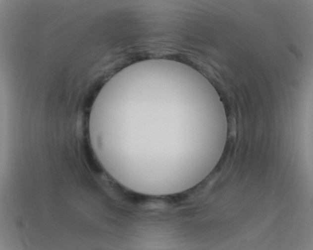 X0000114520519200910190952
