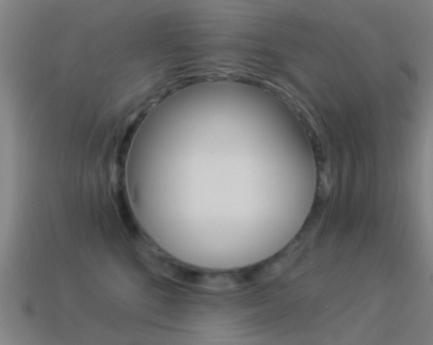X0000114520520200910190952