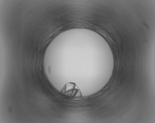 X0000114520521200910190952