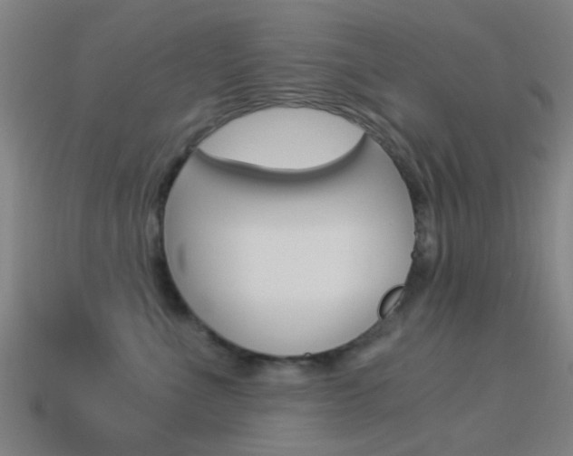 X0000114520523200910190952