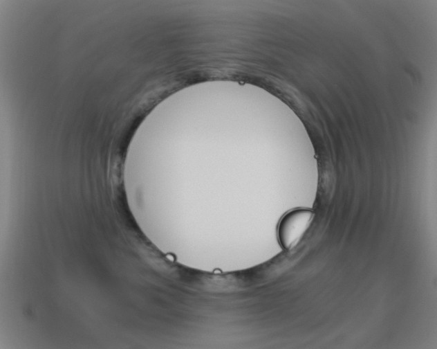 X0000114520525200910190952