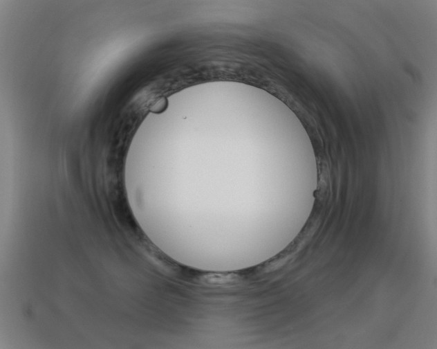 X0000114520526200910190952