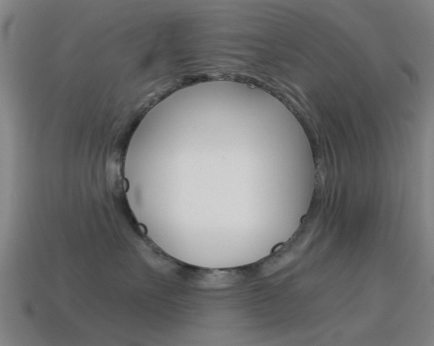X0000114520527200910190952
