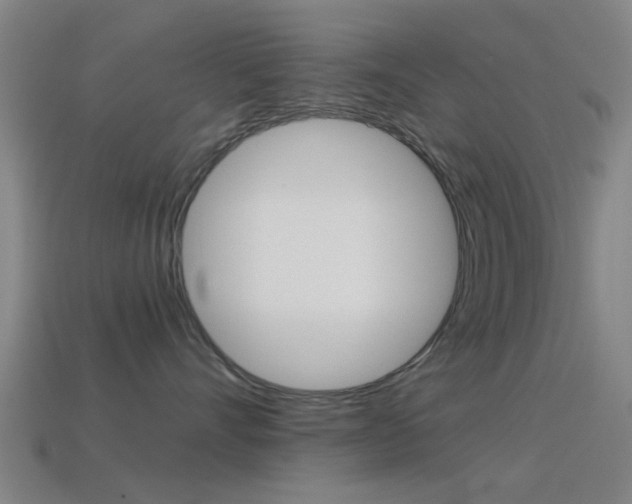 X0000114520528200910190952