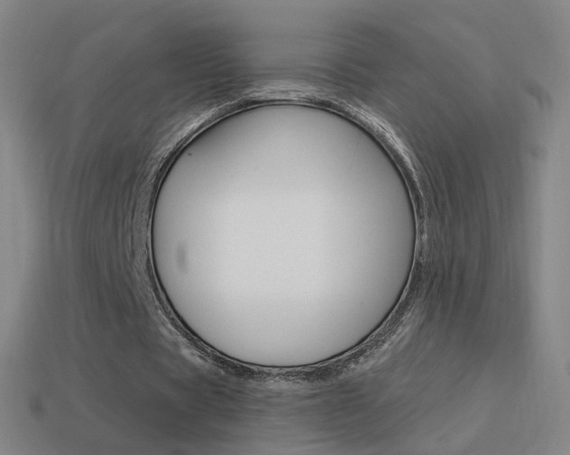 X0000114520529200910190951