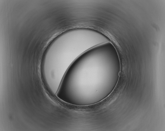 X0000114520530200910190951