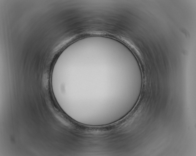 X0000114520533200910190951