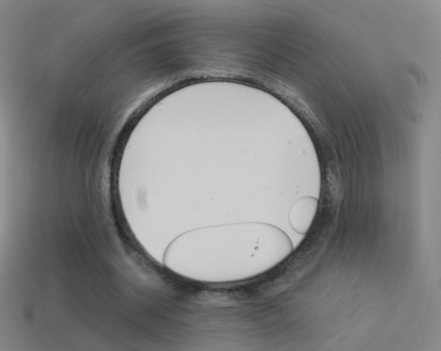 X0000114520534200910190951