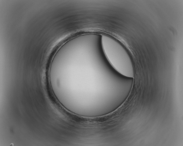 X0000114520535200910190951