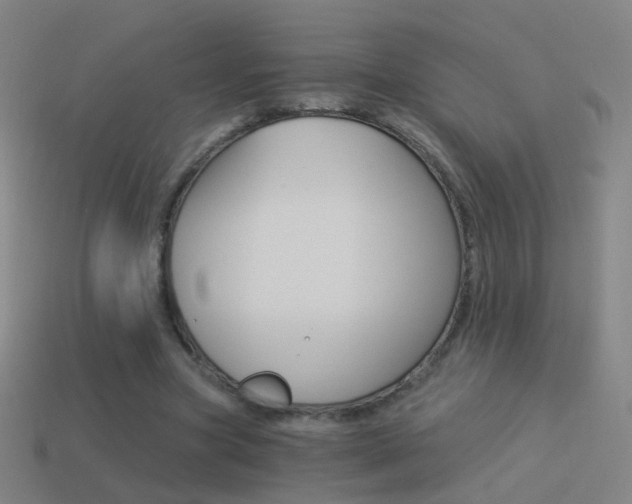 X0000114520537200910190951