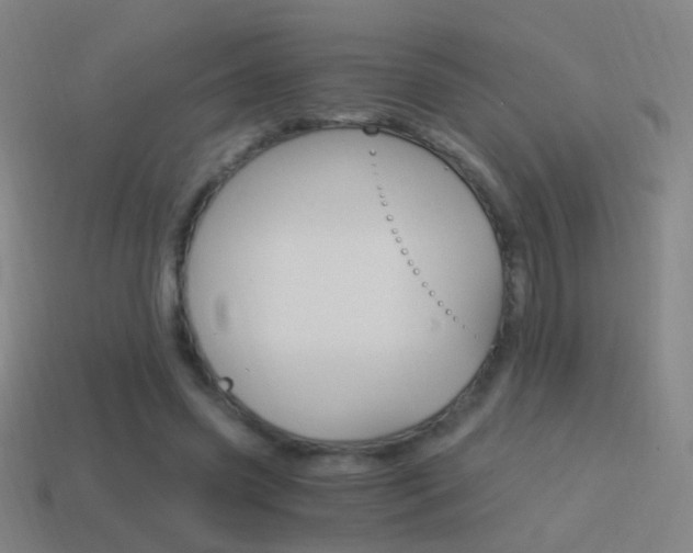 X0000114520541200910190951