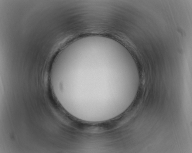 X0000114520542200910190952