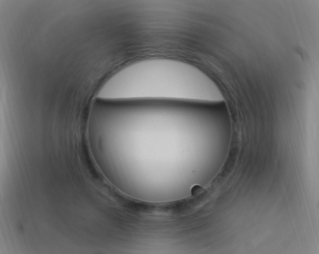 X0000114520546200910190952