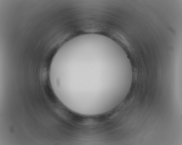 X0000114520549200910190952