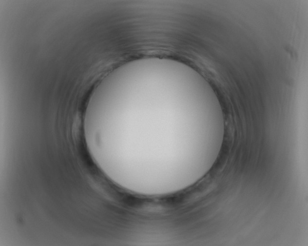X0000114520550200910190952