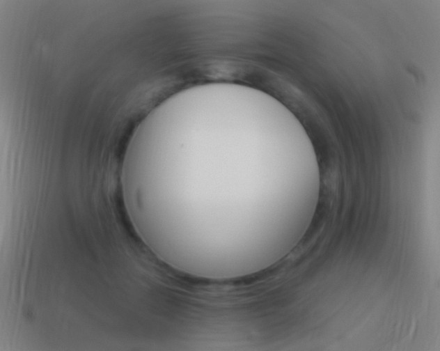 X0000114520554200910190952