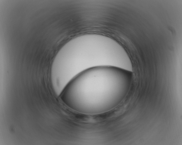 X0000114520558200910190952