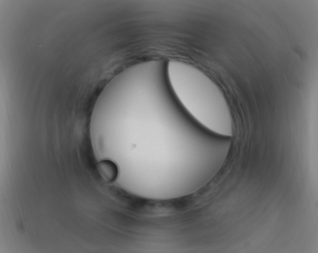 X0000114520559200910190952