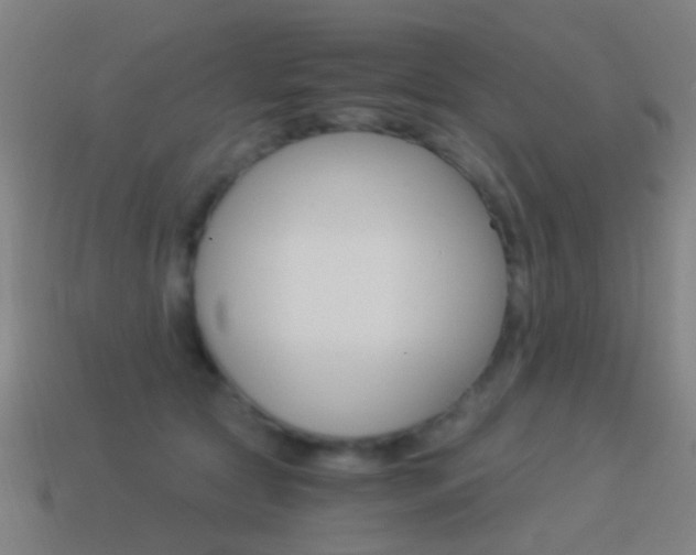 X0000114520561200910190952