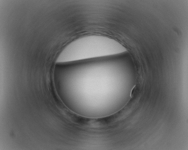 X0000114520562200910190952