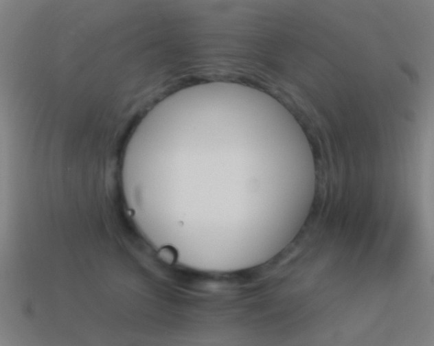 X0000114520563200910190952