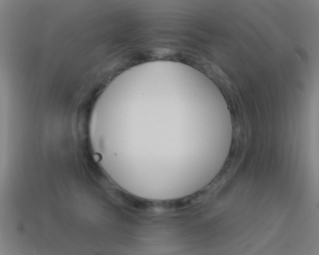X0000114520565200910190952