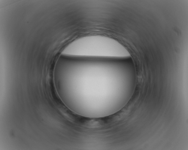 X0000114520566200910190952