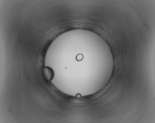 X0000114520567200910190952