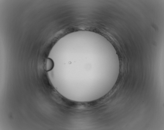 X0000114520569200910190952