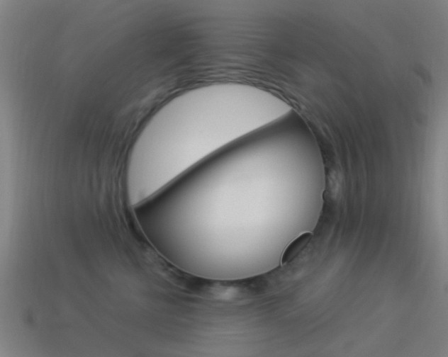 X0000114520570200910190952