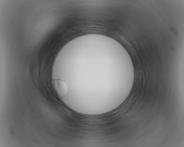 X0000114520573200910190952