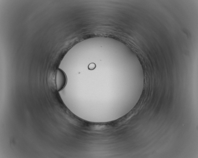 X0000114520575200910190952