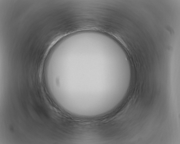 X0000114520579200910190951