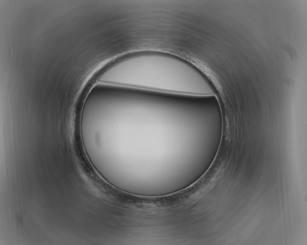 X0000114520580200910190951