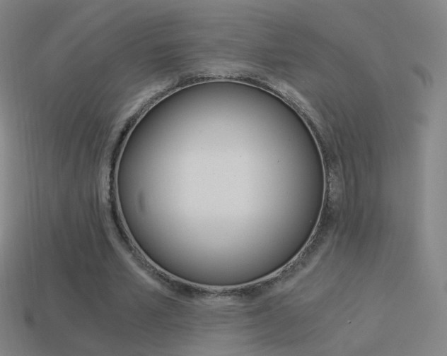 X0000114520581200910190951