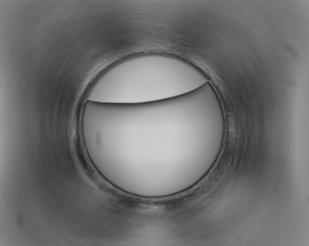 X0000114520582200910190951