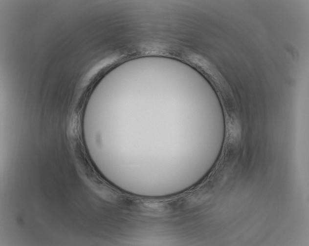 X0000114520583200910190951