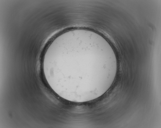 X0000114520584200910190951