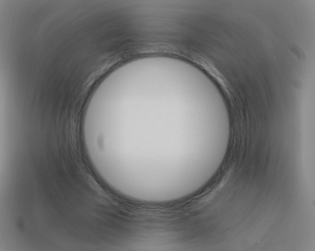 X0000114520585200910190951