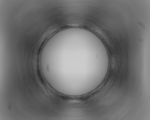 X0000114520586200910190951