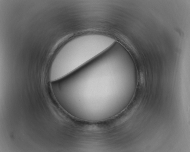 X0000114520588200910190951